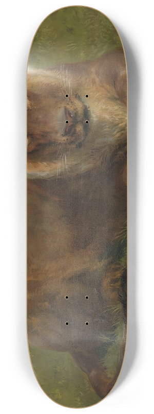 Rosa Bonheur - Lioness At Rest 8.25 inch art skate deck