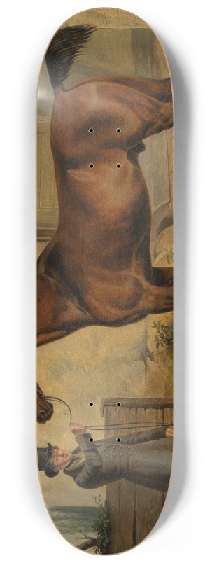 Rudolf Kuntz - Englischer Vollbluthengst Robert 8.25 inch art skate deck