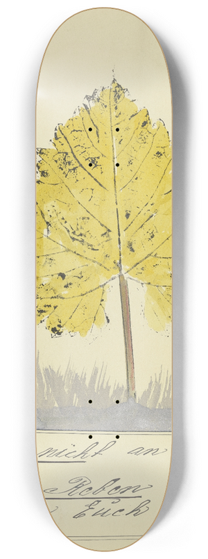 John Elsas - Denket nicht an dummes Zeug  8.25 inch art skate deck