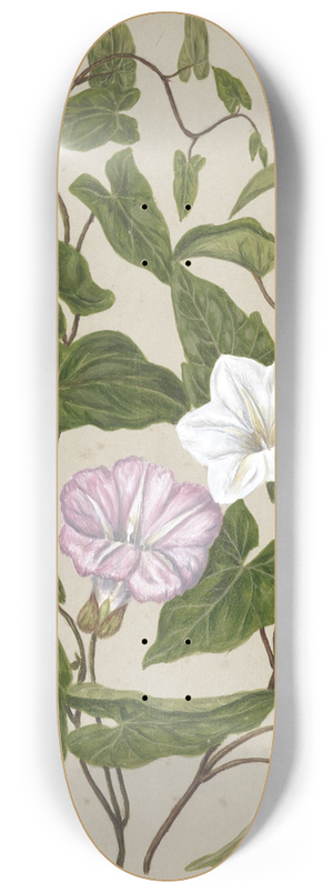 Sarah Featon - Bindweed, Pohu 8.25 inch art skate deck