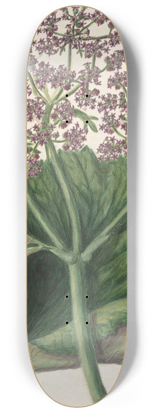 Sarah Featon - Untitled 8.25 inch art skate deck