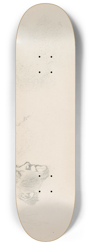 Signe Scheel - Kvinneportrett; riss 8.25 inch art skate deck