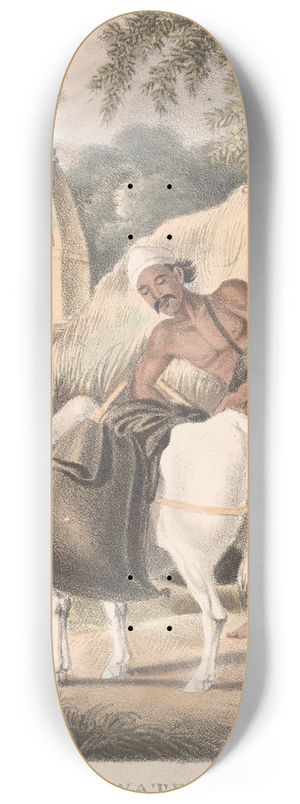 Sir Charles D'Oyly - A Bheesty or Water Carrier 8.25 inch art skate deck