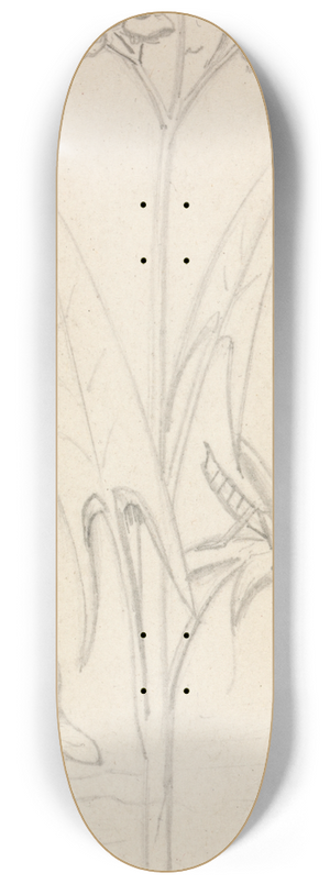 Sir John Everett Millais - Stained Glass Study, Water Plant with Grasshoper, Fish and Newt 8.25 inch art skate deck