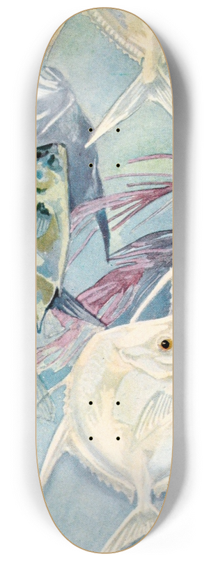 Stephen Haweis - Moonfishes 8.25 inch art skate deck