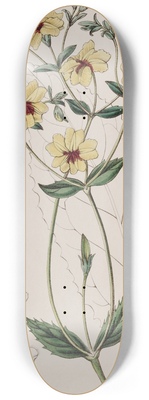 Sydenham Edwards - Broad-leaved Euthales 8.25 inch art skate deck