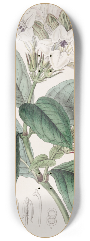 Sydenham Edwards - Climbing Henfreya 8.25 inch art skate deck