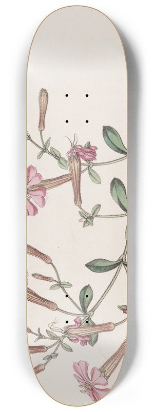 Sydenham Edwards - The Schafta 8.25 inch art skate deck