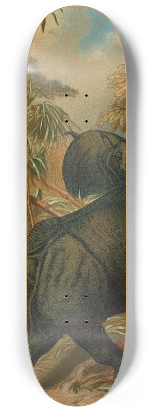 John George Wood - Rhinoceros. 8.25 inch art skate deck
