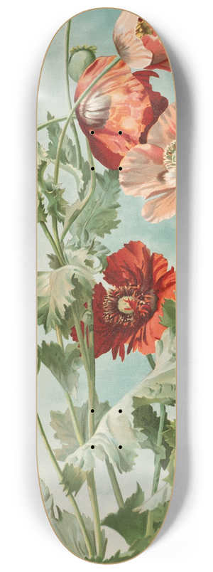 Thaddeus Welch - Poppies 8.25 inch art skate deck
