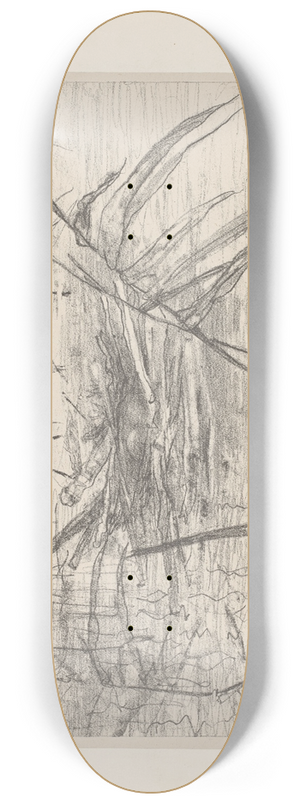 Theo van Hoytema - Drijvend nest van een dodaars 8.25 inch art skate deck