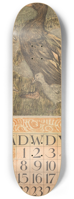 Theo van Hoytema - Kalenderblad juni met eend met kuikens 8.25 inch art skate deck