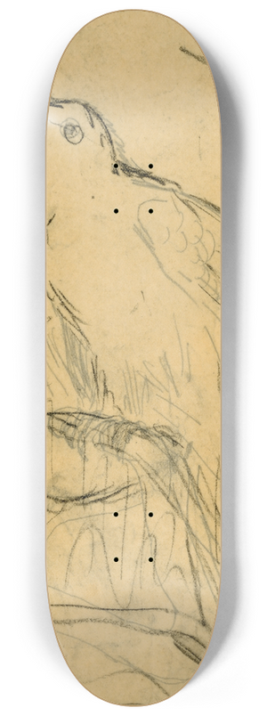 Theo van Hoytema - Roepende spreeuw 8.25 inch art skate deck
