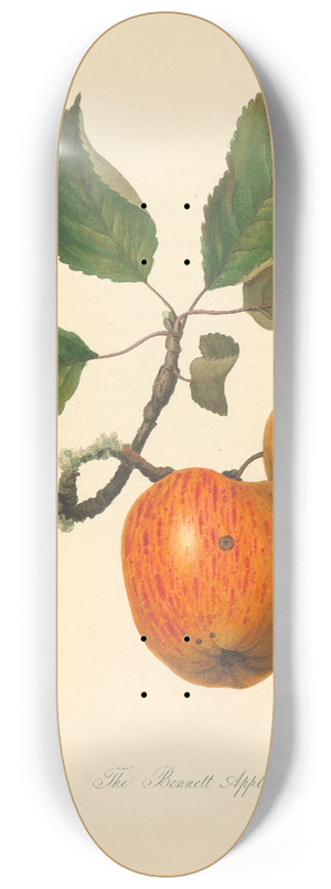 Thomas Andrew Knight - Bennett Apple 8.25 inch art skate deck