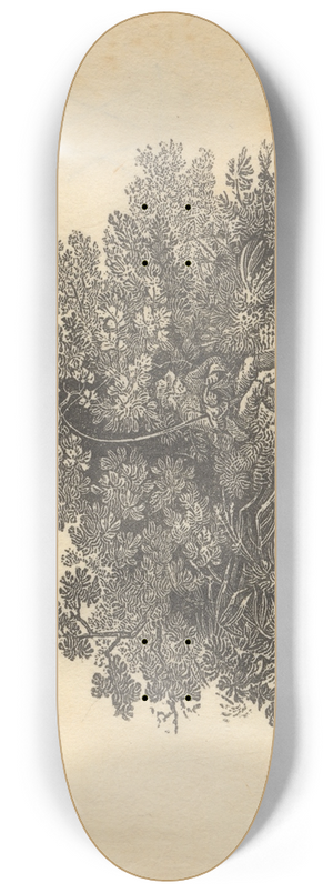 Thomas Bewick - Fisherman 8.25 inch art skate deck