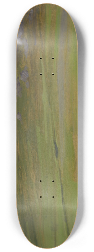 udovt ordk - Spisk hrad 8.25 inch art skate deck