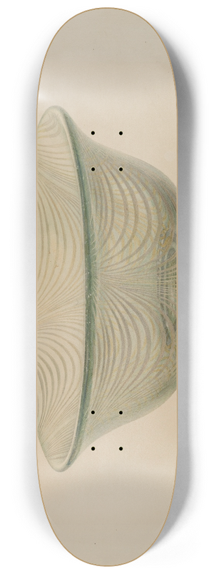 Van Silvay - Bowl 8.25 inch art skate deck