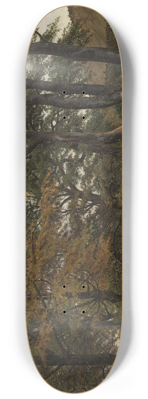 Viggo Pedersen - En opkrt vej under gamle trer 8.25 inch art skate deck