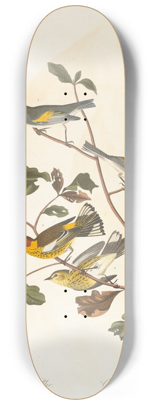 John James Audubon - Golden-winged warbler 8.25 inch art skate deck