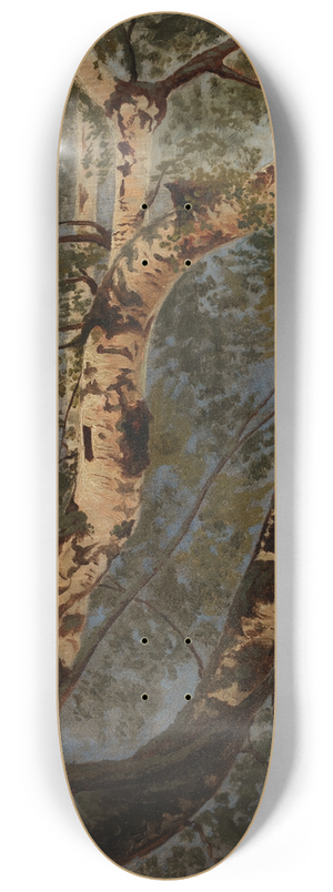 Werner Holmberg - Birch Trunks, Rehearsal 8.25 inch art skate deck