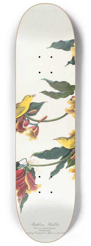 John James Audubon - Rathbone warbler 8.25 inch art skate deck