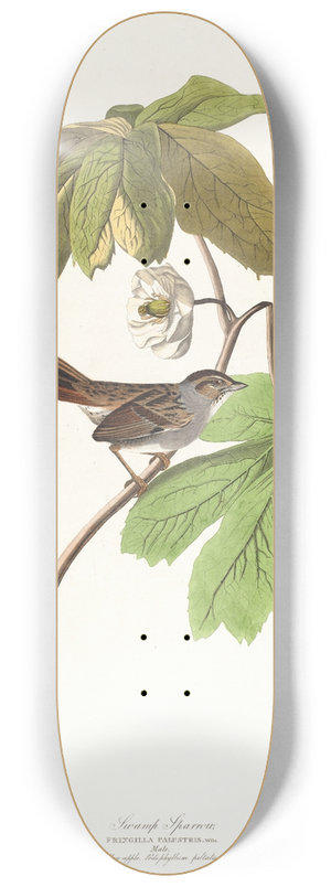 John James Audubon - Swamp sparrow 8.25 inch art skate deck
