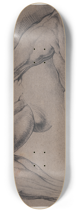 Willem Panneels - Anatomisk studie corch To studier af en mands flede, venstre arm 8.25 inch art skate deck