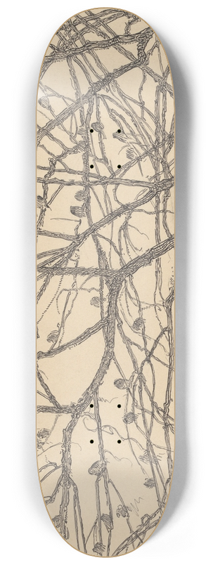 Willem Pothast - Boomtakken 8.25 inch art skate deck