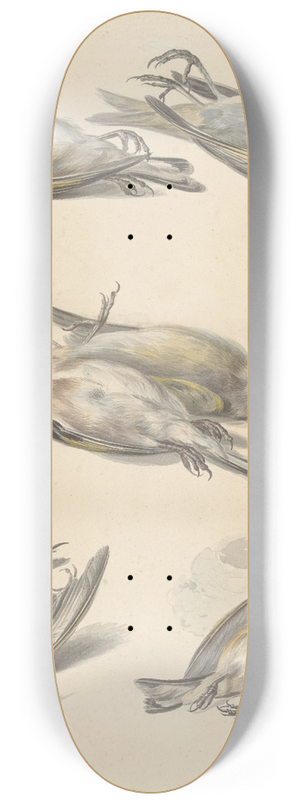 Willem van Leen - Zes dode vogeltjes 8.25 inch art skate deck