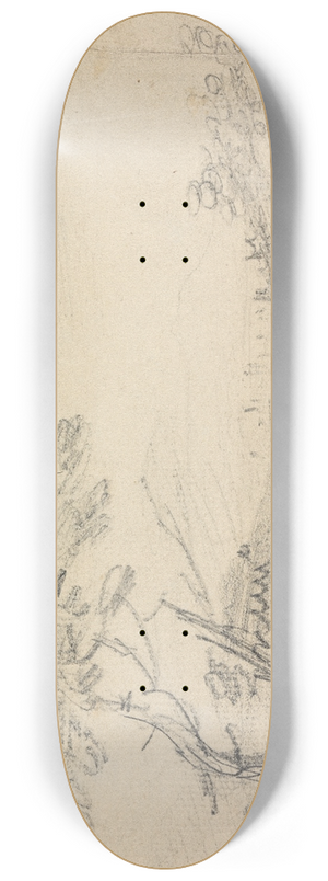William Gilpin - Landscape 8.25 inch art skate deck