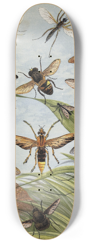 William Houghton - Diptera 8.25 inch art skate deck