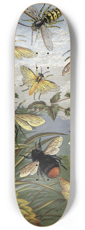 William Houghton - Hymenoptera 8.25 inch art skate deck