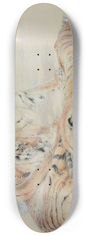 William Huggins - Study of tigers 8.25 inch art skate deck