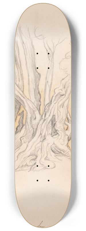 John Linnell - Old Olive Tree 8.25 inch art skate deck