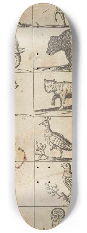 William Salmon - Plate XVI: Illustrations of various animals 8.25 inch art skate deck