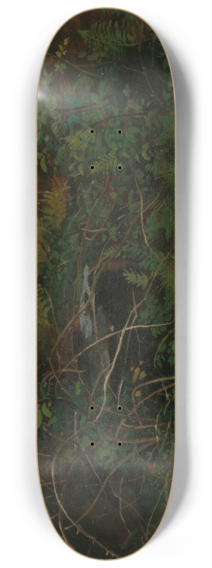 William Stanley Haseltine - Study from Nature 8.25 inch art skate deck