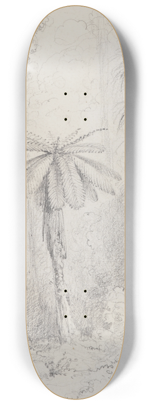 William Swainson - Silver leaved fern, Hutt forest 8.25 inch art skate deck