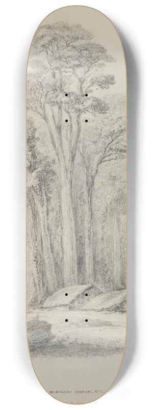 William Swainson - Wirinaki Station 8.25 inch art skate deck