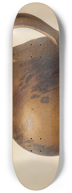 John Matulis - Bean Pot 8.25 inch art skate deck