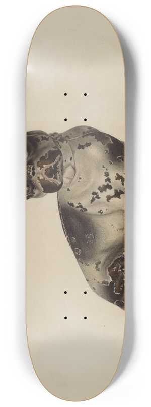 Winifred Luten - Door Stop 8.25 inch art skate deck