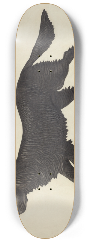 Winifred Luten - Weather Vane Pattern 8.25 inch art skate deck