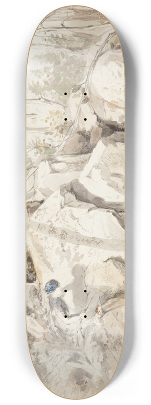 Winslow Homer - Setting a Squirrel Trap 8.25 inch art skate deck