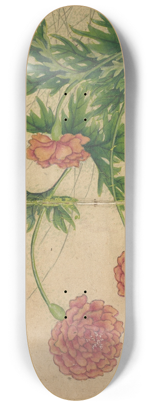 Zhang Ruoai - Peony 8.25 inch art skate deck