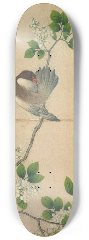 Zhang Ruoai - Preening Bird 8.25 inch art skate deck