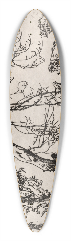 Frank Wilcox - Apple Tree 39.3 inch art pintail longboard deck