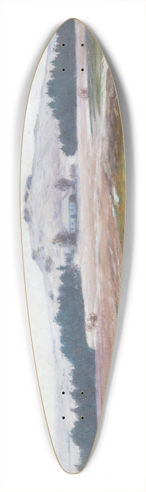 Frantiek Kavn - Sugar Mood 39.3 inch art pintail longboard deck