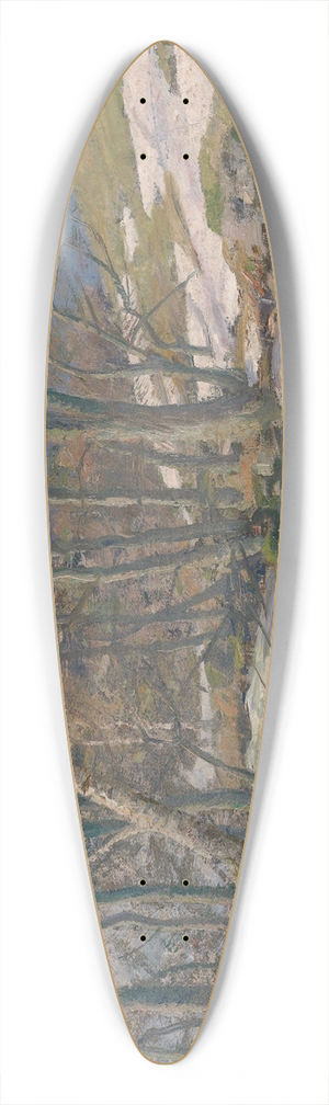 Frederik Collett - Spring at Mesna 39.3 inch art pintail longboard deck