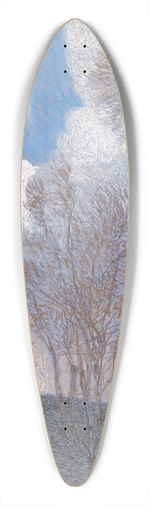 Friedrich Beck - Gewitter 39.3 inch art pintail longboard deck