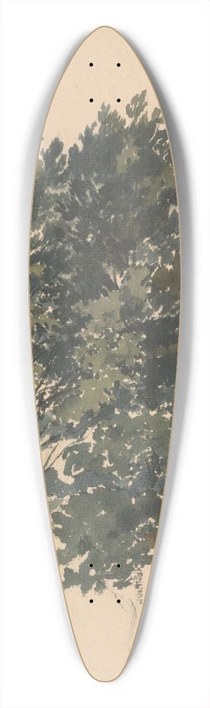Friedrich Carl von Scheidlin - Study of a Treetop 39.3 inch art pintail longboard deck