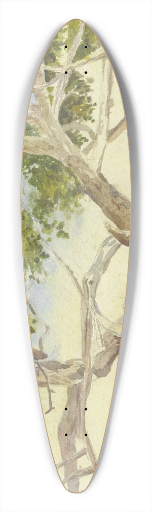 Fritz Hauck - Marys tree near Cairo 39.3 inch art pintail longboard deck
